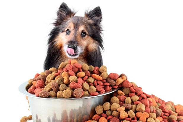 Cibo per cani: leggere l’etichetta.