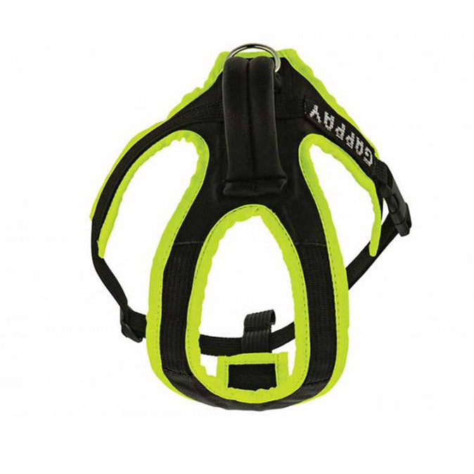 Pettorina Gappay per cuccioli