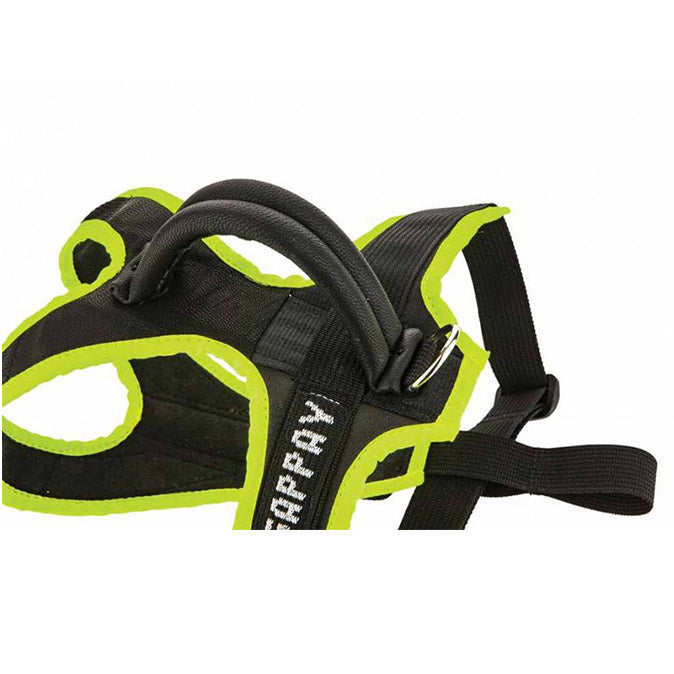 Pettorina Gappay per cuccioli