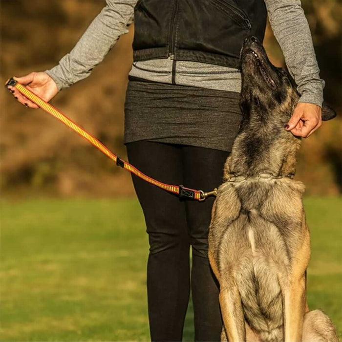 Guinzaglio obbedienza KNUT FUCHS De Luxe
