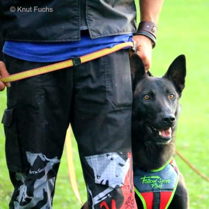 Guinzaglio obbedienza KNUT FUCHS De Luxe