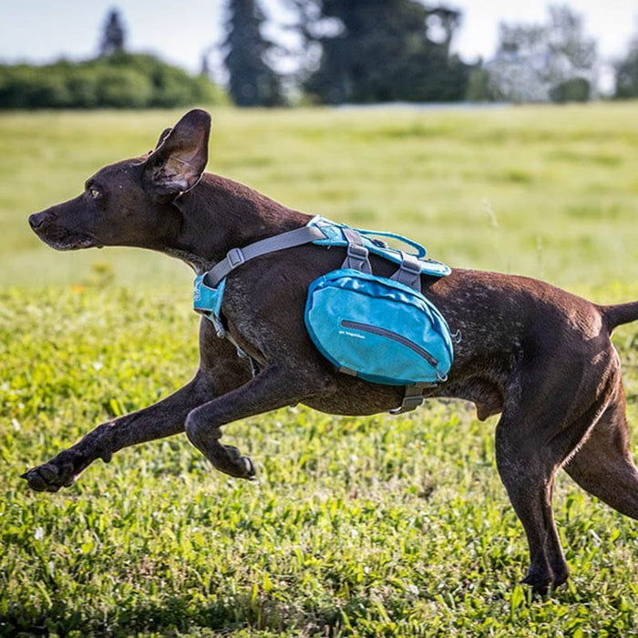Pettorina con bisacce BAXTER