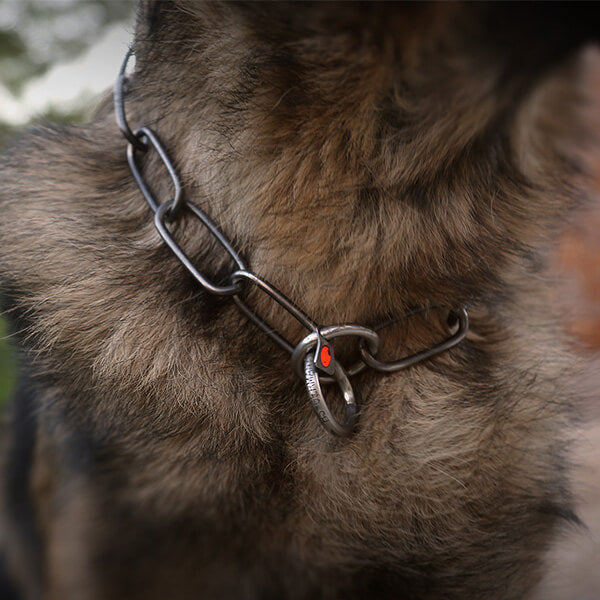 Collare Herm Sprenger a maglie larghe nero brunito 3 mm