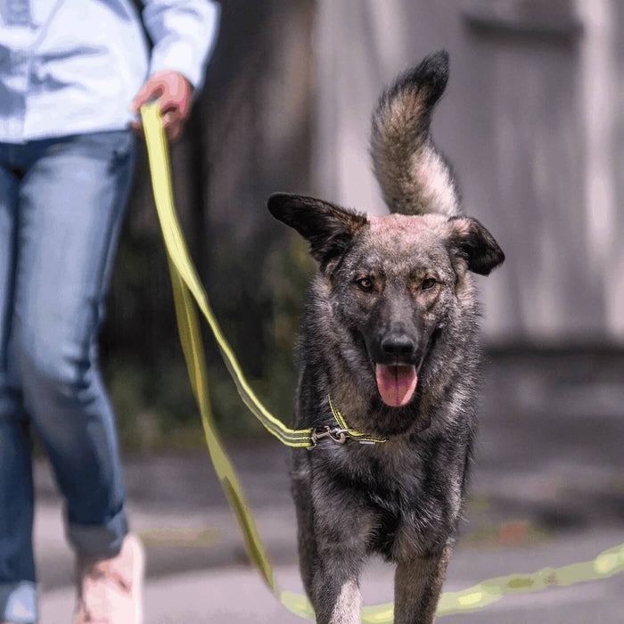 Linea gommata Herm Sprenger 5 e 10 metri