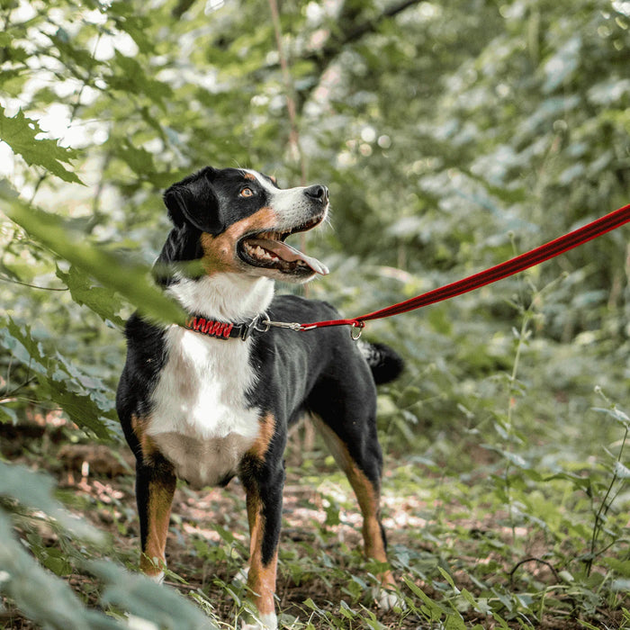 Linea gommata Herm Sprenger 5 e 10 metri