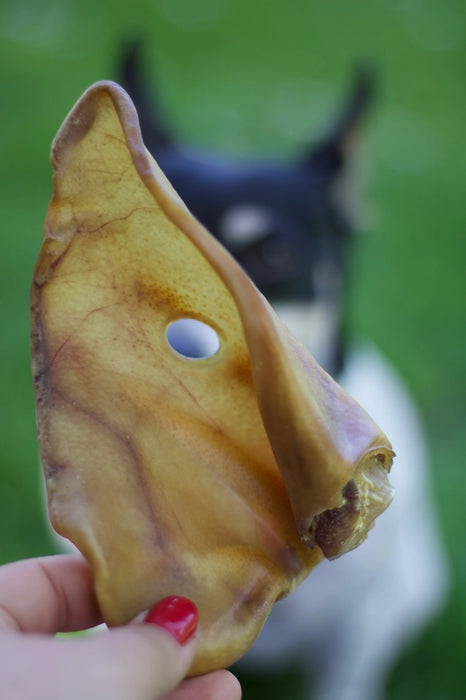 Orecchie di maiale (10 pezzi)