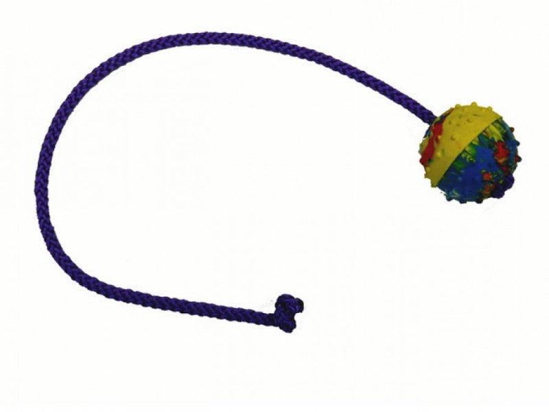 Pallina Gappay in gomma con corda