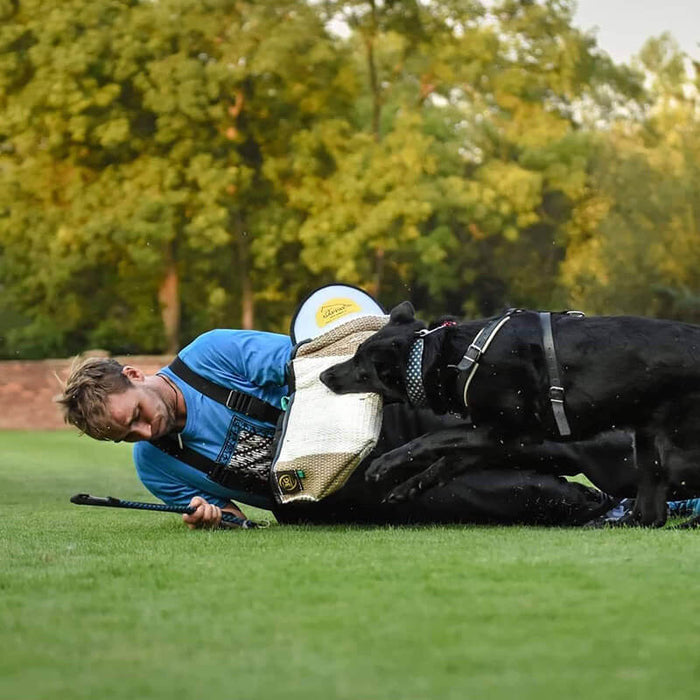 Pettorina Gappay in pelle rinforzata media