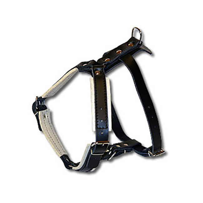 Pettorina Gappay in pelle rinforzata media