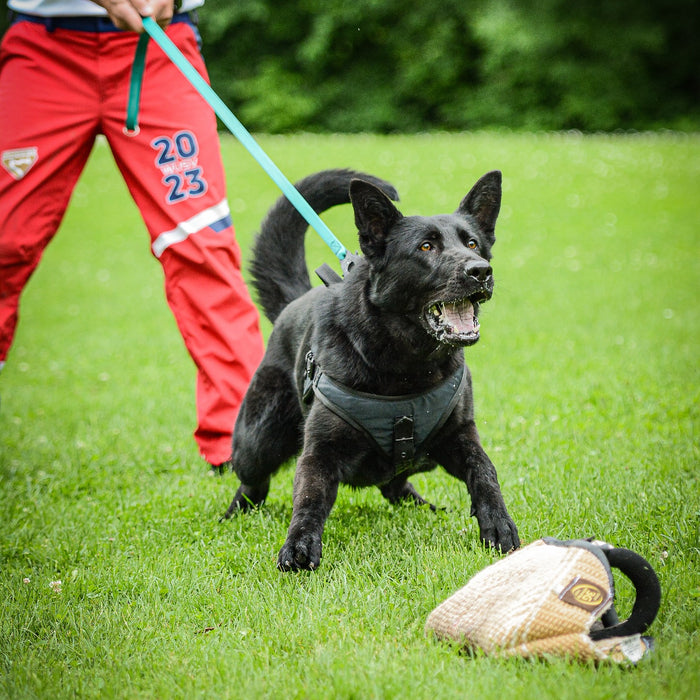 Pettorina Gappay modello REX II