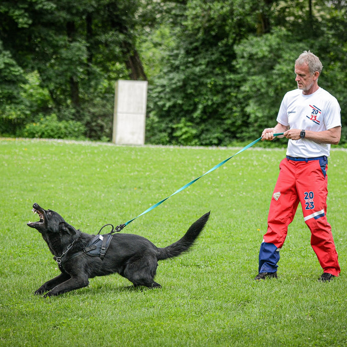 Pettorina Gappay modello REX II