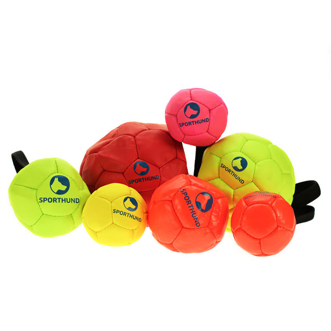 Sporthund Training Balls