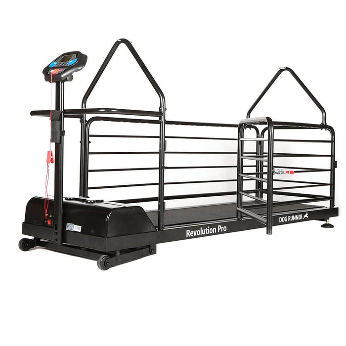 Tapis roulant Treadmill per cani Dog Runner Revolution PRO