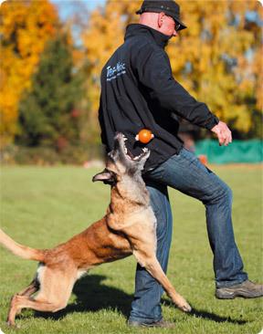 Palline magnetiche Top-Matic