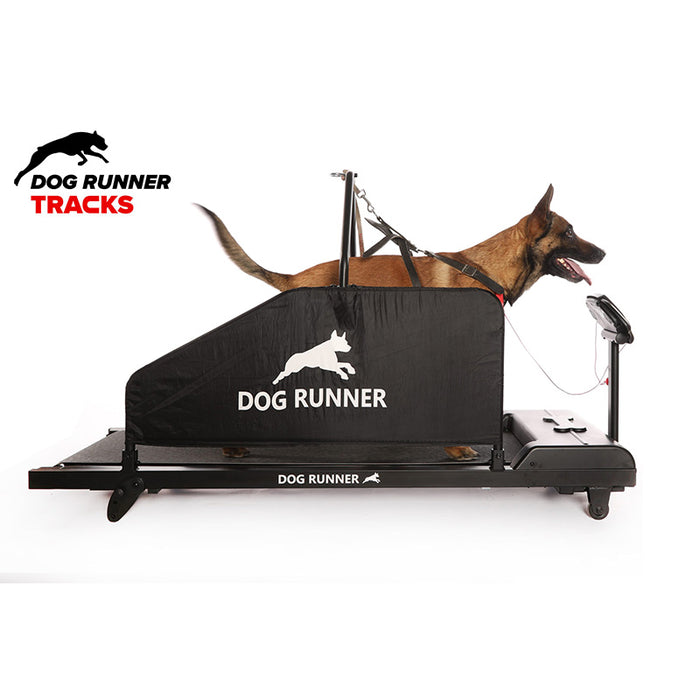 Tapis roulant Treadmill per cani Dog Runner Tracks