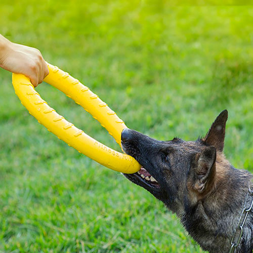 Fitness Ring per cani