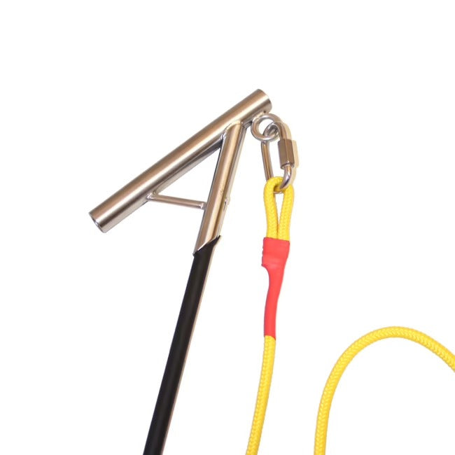 Flexpole Sporthund