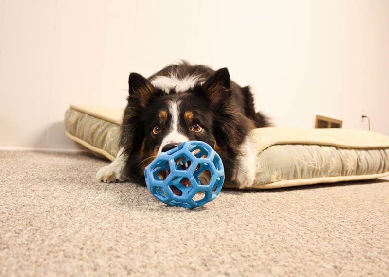 Palla retata Hol-ee Roller