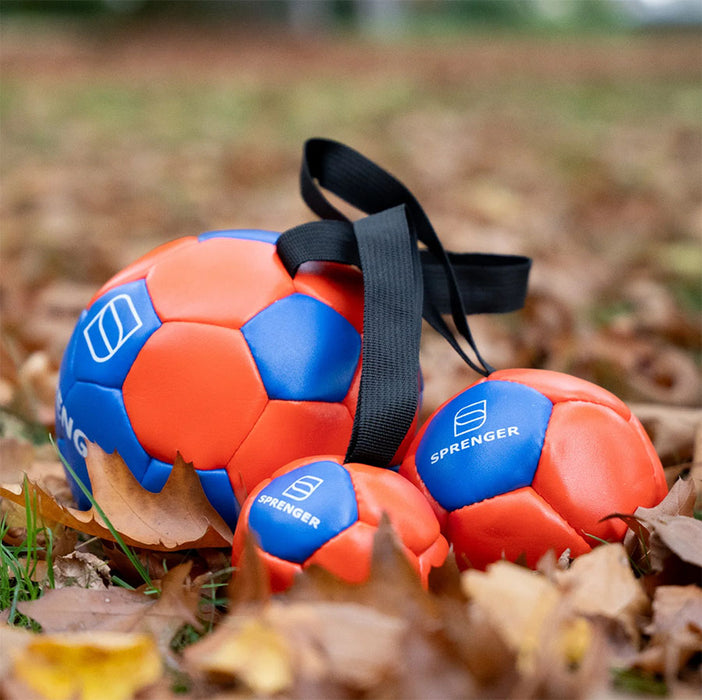 Palla HS in cuoio con maniglia