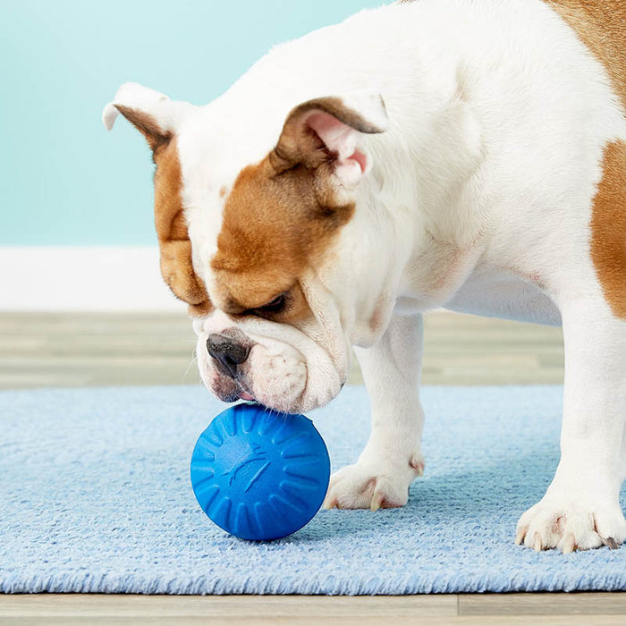 Fantastic Foam Ball