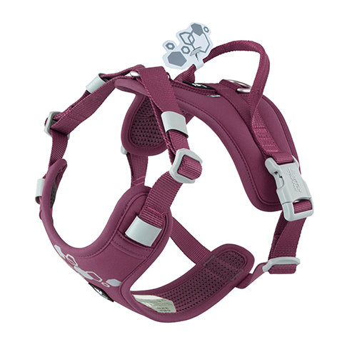 Pettorina Hurtta Warrior 2