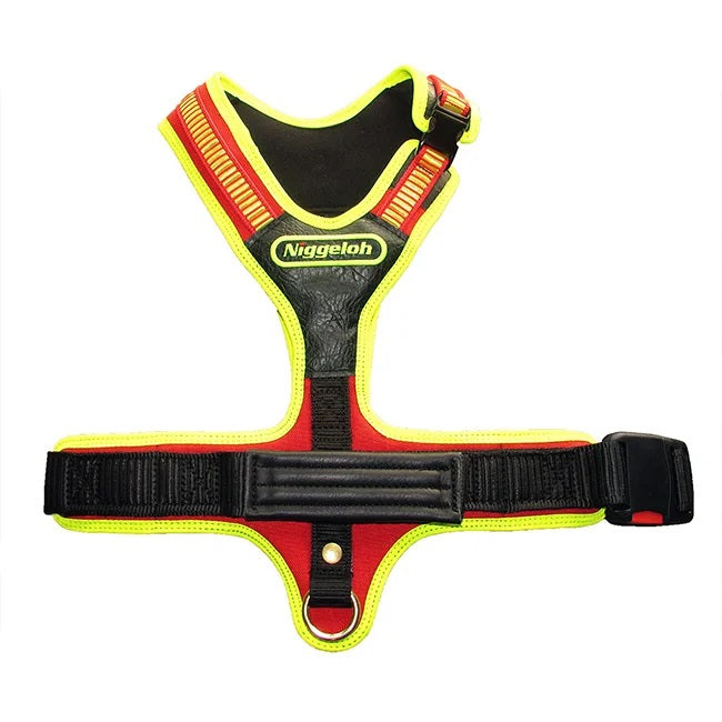Pettorina Follow Sport Plus