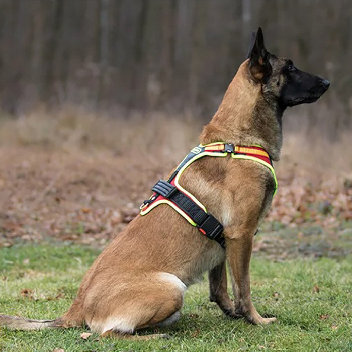 Pettorina Follow Sport Plus