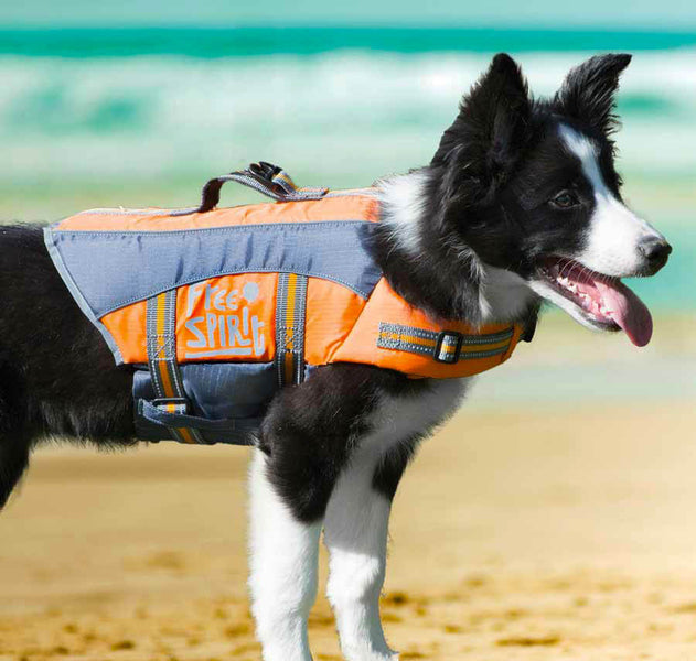 Giubbotto Salvagente Per Cani – Galleggiante Con Manico E Rifrangenti, Taglia S (Regolabile XS-2XL)
