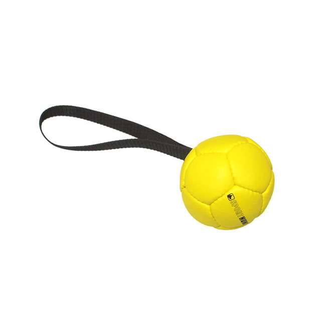 Sporthund Training Balls
