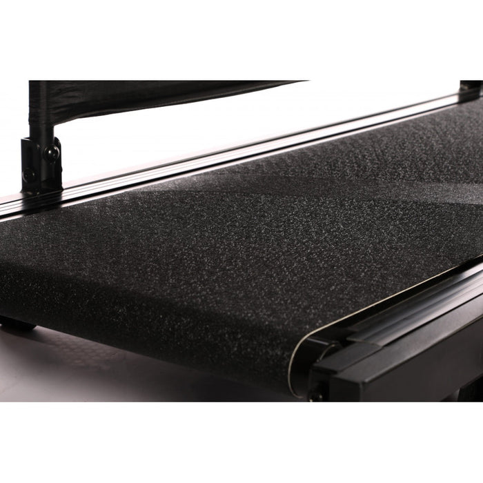 Tapis roulant Treadmill per cani Dog Runner Tracks