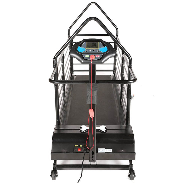 Ylpddmm Tapis Roulant Per Cani Taglia Grande – Carico 80kg, Velocità 0,8-6 Km/h, Inclinazione Regolabile, Ruote E Display LED