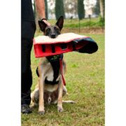 Manica Sporthund Balance (4)