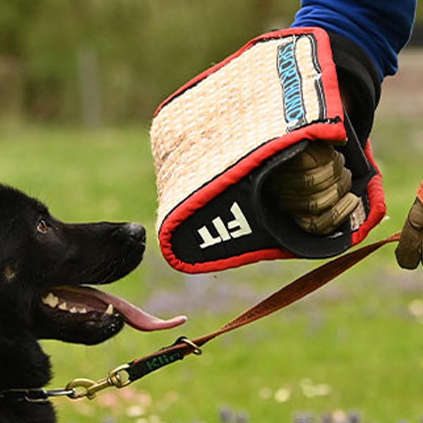 manica sporthund FIT (2)